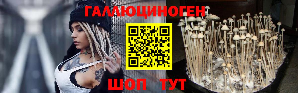 Галлюциногенные грибы Psilocybine cubensis  Галлюциногенные грибы прущие грибы  Люберцы  Вход с VPN 
